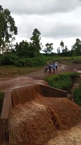 The video shows a group of four people and a motorcycle gathered at the edge of a small concrete dam structure. The dam is overflowing with a large volume of brown, muddy water. The surrounding environment consists of green vegetation and trees under a cloudy sky. The people are standing on a muddy road next to the dam, appearing to be observing the water flow. One person is wearing a bright green hat. They do not appear to be engaging in any specific activity other than observing the flooding. The overall tone is one of observation and awareness of the natural surroundings and potential flooding.