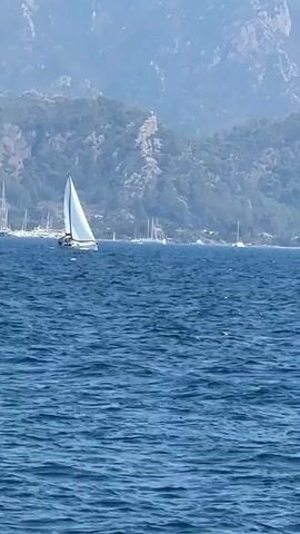 A sailboat with a white sail navigates on blue water. Behind the sailboat, there are mountains covered in trees and other sailboats anchored near the shore. The water is choppy with small waves.