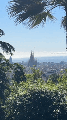 Morning views of Barcelona captured from multiple vantage points