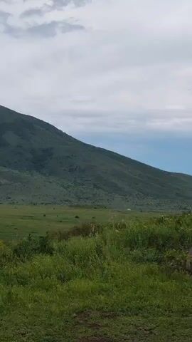 The video shows a wide landscape with a green mountain in the background and a grassy field in the foreground. The sky is cloudy and grey. There are a few trees and some small white flowers in the foreground. In the middle ground, there is a road with a car driving on it. The mountain has some patches of exposed earth and some vegetation. There are also some small structures visible on the mountain. The overall scene is one of natural beauty and tranquility.