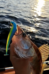 Fresh catches pulled from the water near Chaykovsky, Russia
