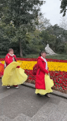 Elderly groups gather for traditional activities across Chongqing parks