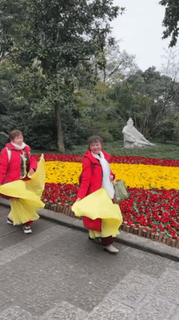 Elderly groups gather for traditional activities across Chongqing parks