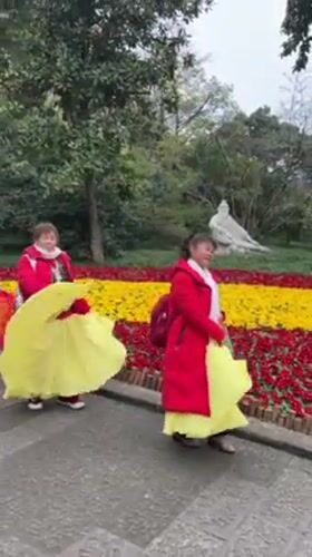 Elderly groups gather for traditional activities across Chongqing parks