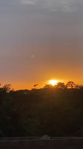 The video shows a sunset over a landscape with trees. The sun is bright orange and low on the horizon, partially obscured by the trees. The sky is a mix of gray and orange hues. In the distance, there is what appears to be a small structure or vehicle on a hill. The foreground is dominated by the dark silhouettes of trees. The video appears to be shot from a slightly elevated position, possibly a rooftop or balcony. There is audio, but it is unclear if it is related to the video.