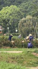 Early morning life captured across Da Lat parks and streets