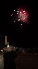 Fireworks display lights up night sky in Budva, Montenegro