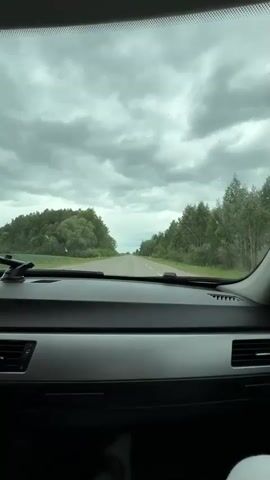 The video captures a first-person perspective from inside a car driving on a straight, two-lane asphalt road. The car's dashboard, featuring silver and black trim, is visible at the bottom of the frame. Through the windshield, a clear view of the road ahead is presented, flanked on both sides by dense green trees and foliage, indicative of a forested or rural area. The sky is heavily overcast with grey clouds. A small white and red road marker can be seen on the right side of the road at the 0:01 mark. The scene depicts travel through what appears to be a rural landscape in Beržiniai, Lithuania, under cloudy daytime conditions. No people or visible text are discernible.