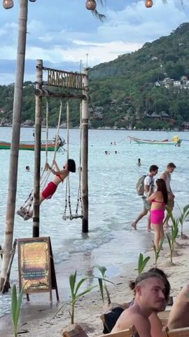 The video captures a vibrant beach scene in Ko Tao, Thailand, likely during the late afternoon or early evening given the soft, diffused light. The primary focus is a swing set positioned in shallow, clear turquoise water, with a wooden sign above it that reads "BAN'S DIVING." A young woman in a red bikini is enthusiastically swinging, her movement captured mid-air as she propels herself forward.

In the background, several other people are visible enjoying the water, some swimming and others wading. Traditional longtail boats, common in Thailand, are moored in the distance, adding to the tropical atmosphere. The coastline is lined with lush green hills dotted with buildings, suggesting a well-populated island.

On the sandy shore in the foreground, a few palm saplings are planted, and a rustic wooden sign with some text is propped up. A woman in a pink bikini stands on the beach, appearing to take a photo with her phone, while a man with his back to the camera is seated at what seems to be a beachfront establishment, his gaze directed towards the water. The overall mood is relaxed and joyful, indicative of a holiday or leisure activity. The gentle ripples on the water and the cloudy sky hint at calm weather, perhaps after a brief shower or before a sunset.