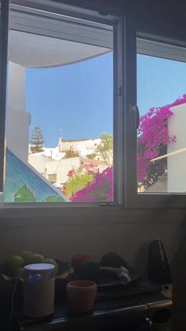 The video shows a view through a window of a sun-drenched outdoor scene. In the foreground, on a dark surface, are several items including a white ceramic jar, a small orange pot, a dark object that appears to be a vacuum cleaner attachment, a red tomato, an avocado, and some green apples. The window is divided into two panes. The left pane looks out onto a bright blue sky and a white building with an arched overhang and a cone-shaped tree. There are also vibrant pink and green flowering bushes visible. The right pane of the window also shows the bright blue sky and a white building with abundant pink bougainvillea cascading down its side. The window frame is white.
