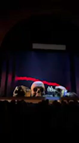 The media file captures an indoor theatrical performance or event, viewed from the perspective of a silhouetted audience. In the foreground, the indistinct, dark shapes of numerous audience members are visible, seated and facing the stage.

On the stage, a central large, light-colored skull is prominently displayed, flanked by at least two other large, darker, or mottled skulls. These appear to be props, resting on a raised platform at the front of the stage.

The background is dark, with striking horizontal red light beams or lasers traversing the scene behind the skulls. Vertical dark elements, possibly columns or panels, frame the stage on either side, and blue ambient lighting adds to the dramatic atmosphere. A rectangular, light-colored screen is positioned higher up in the background, currently blank or displaying unreadable content.

The dark setting and dramatic stage design, featuring the skulls and evocative lighting, suggest a serious or intense artistic performance, possibly an opera, play, or a themed show. The audience's presence indicates a live event, likely held in a theater or auditorium in Jerez de la Frontera, Spain. The scene takes place in an artificially lit interior, typical of an evening performance. No specific text is legible in the image.