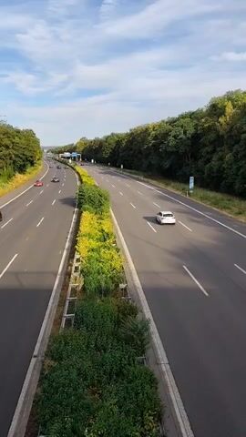 A vertical, high-angle shot captures a multi-lane highway bordered by lush green trees under a partly cloudy sky. Cars of various colors, including red, black, and white, are visible on the road, traveling in both directions. A median strip planted with vibrant green and yellow foliage divides the lanes. The scene is peaceful and serene, with the cars appearing as small specks against the vast landscape.