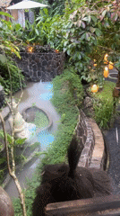 Garden stream with Buddha statue documented in Blahbatuh