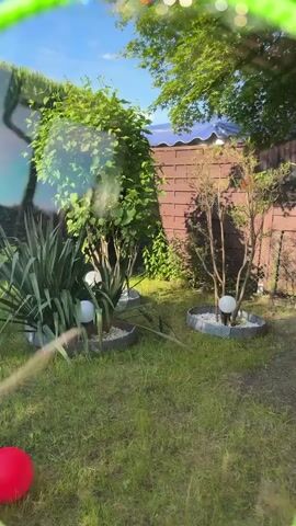 The video shows a green backyard on a sunny day. There are trees and bushes with white spherical lights at their base. A red ball is visible on the grass in the lower left corner. A brown fence is in the background.
