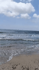 Shell-covered shoreline and calm water in Altagracia, Venezuela