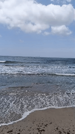 Shell-covered shoreline and calm water in Altagracia, Venezuela