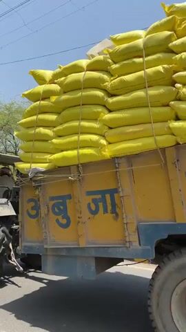 The video shows a tractor pulling a trailer loaded with many sacks. The sacks are bright yellow and stacked high on the trailer, secured with rope. The trailer is yellow and blue, with the word "Ambuja" written on the side in Hindi. The tractor appears to be moving along a paved road on a sunny day.  Trees are visible in the background.