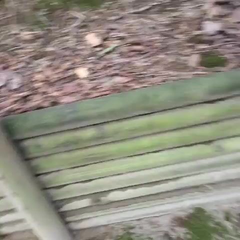 A person is walking on a dirt path in a forest. The path is lined with a wooden retaining wall and a rope fence. The trees are tall and green, and the sun is shining through the leaves. The video is shaky, indicating it was likely filmed with a handheld camera. The overall impression is one of a peaceful and scenic walk in nature.