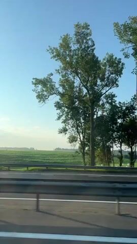 The video shows a view from a moving vehicle on a highway. Tall trees line the side of the road, with their branches silhouetted against a clear blue sky. Sunlight filters through the leaves, creating a dappled effect. In the distance, green fields are visible. A metal guardrail runs along the edge of the highway, separating the road from the trees and fields. The camera perspective suggests the video is taken from a passenger seat, looking out the window. There are no people visible in the video. The overall atmosphere is serene and suggests a journey through a natural landscape.