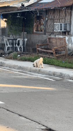 Everyday street life documented across Davao City neighborhoods