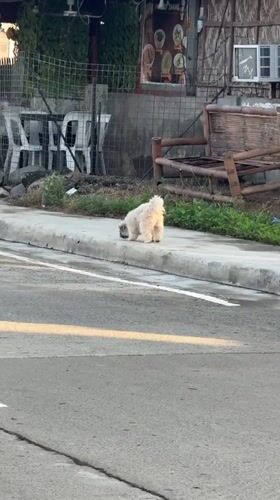 Everyday street life documented across Davao City neighborhoods