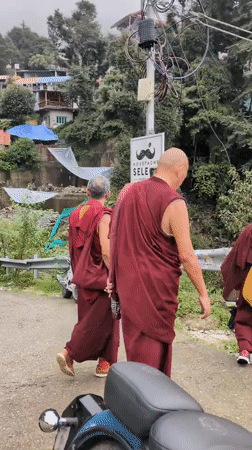 Buddhist monks, hillside construction, and morning scenes in Himachal Pradesh