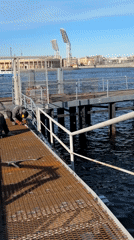 Anonymous witness captures everyday Saint Petersburg street life