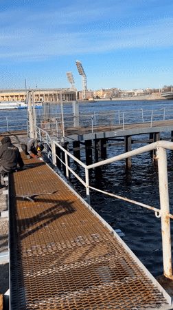 Anonymous witness captures everyday Saint Petersburg street life