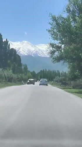 Morning traffic on mountain road near Kalygul, Kyrgyzstan