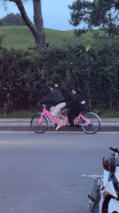 Tandem cyclists and uprooted plants spotted in Da Lat