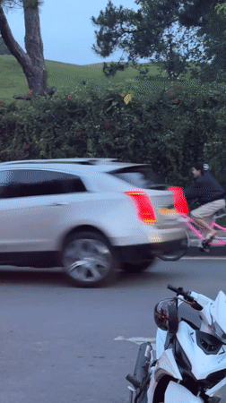 Tandem cyclists and uprooted plants spotted in Da Lat