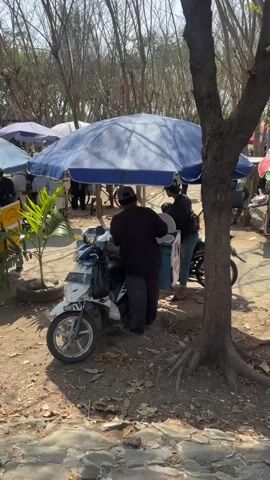 The video shows a street scene under a large blue umbrella, likely a market or outdoor food stall. Two men and possibly a child are gathered around a mobile cart attached to a white motorcycle. The man in the foreground, wearing a black shirt and dark pants, is facing away from the camera and appears to be interacting with something on the cart. The second man, wearing a dark jacket and jeans, stands to his right, also facing the cart. A child is partially visible between the two men. The cart has a blue and white exterior with some visible lettering. The ground is dirt and debris, with tree roots visible in the foreground. Other stalls and trees are visible in the background, suggesting an outdoor market environment. The overall lighting indicates a daytime scene.