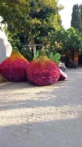 The video shows an outdoor scene. In the foreground, there are two large, strawberry-shaped sculptures made of flowers. The sculptures are brightly colored, with shades of pink, red, and yellow. Behind the sculptures, there is a paved pathway with a cobblestone surface. To the right of the pathway, there is a garden bed with blooming roses. In the background, there are trees, buildings, and people walking. The sky is visible, with some clouds. The lighting suggests it is daytime.