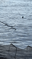Early morning fishing expedition recorded near Chaikovsky, Russia