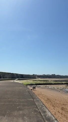 The video shows a view of a beach on a bright, sunny day. The sky is clear and blue. A concrete walkway runs along the left side of the frame, bordering a sandy beach. In the distance, there's a cliff with some buildings on top. Two people and a dog are walking along the beach towards the camera. The tide is out, revealing a rocky beach covered with some green vegetation and small pools of water. In the distance, the sea is visible with some boats. A green cup sits on the rocks in the foreground.
