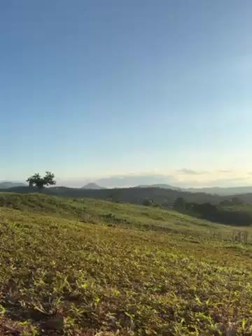 The video pans from a grassy hillside, across a valley with trees and fields, to a mountain range with the sun rising over it. A small body of water can be seen in the valley. Someone says "Meow" towards the end of the video.