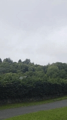 Morning drive through Powerscourt's forested roads near Enniskerry