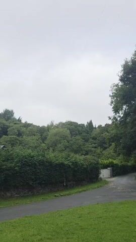 The video shows a gray, overcast day. The scene is a rural area with a lot of greenery. In the foreground, there is a paved road and a patch of grass. Behind the grass, there is a stone wall and a hedge, which then gives way to a dense forest of trees that covers a hillside. In the upper right corner of the frame, a thin wire is visible stretching across the sky. As the video progresses, a car is seen pulling up to an ornate gate. A person, wearing a blue shirt and dark pants, is standing near the gate, facing away from the camera. The gate is made of metal bars and stone pillars. A large tree with thick branches is prominent in the left side of the frame, partially obscuring the sky and the trees behind it. There is also what appears to be a bird feeder or some sort of hanging object attached to one of the tree branches. The overall impression is of a quiet, natural setting, possibly the entrance to a property.