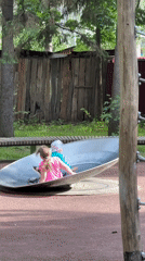 Routine park activities and forest walks documented across unknown location