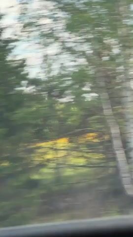 The video shows a view from inside a moving car, passing by a field of yellow flowers under a blue sky with scattered clouds. The camera angle is initially from the back seat, showing blurry scenery. It then pans towards the front, focusing on the interior of the car near the roof and side pillar. The scenery is briefly visible again through the window.