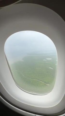 This is a vertical, close-up video shot from inside an airplane. The view is through the airplane window, which frames the scene. The window itself is white and oval-shaped. Outside the window, a vast expanse of green terrain stretches out below. This terrain appears to be covered in dense vegetation, possibly trees or mangroves, with a network of winding waterways or rivers snaking through it. There are also several bodies of water, small lakes or ponds, scattered across the landscape. The sky above is overcast and hazy, giving the entire scene a muted and somewhat diffused appearance. The video pans slightly, offering a panoramic view of the landscape from this aerial perspective.