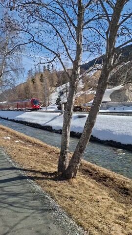 The video captures a scenic view of a red passenger train passing through a mountainous landscape. In the foreground, a large deciduous tree with bare branches occupies the left side of the frame, indicating winter or early spring. To the right of the tree, a calm stream or river flows, bordered by a patch of dry, golden-brown grass on the far right and a snow-covered bank closer to the train tracks.

A bright red train, consisting of multiple cars, enters the frame from the left, moving horizontally across the screen. The train is passing between the foreground tree and the snowy bank. The word "Vinschgerbahn" is visible on the side of the train cars, identifying it as a train from the Val Venosta Railway in South Tyrol, Italy. The tracks are partially obscured by the snow.

In the background, rolling hills or mountains are visible under a clear, bright blue sky, suggesting a sunny day. The overall impression is one of tranquility and natural beauty, with the modern red train providing a vibrant contrast against the natural winter or early spring palette of browns, whites, and blues. The camera is stationary throughout the video, providing a fixed perspective as the train moves through the scene.