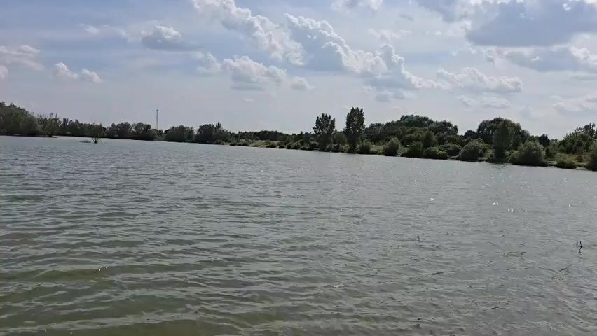 The video shows a wide, calm lake with green, choppy water under a bright, partly cloudy sky. Dense green trees and bushes line the distant shore, with some taller trees scattered among them. A thin, dark vertical structure, possibly a utility pole, is visible in the distance on the right side of the frame. In the middle ground, on the left side of the lake, a person is visible in the water, appearing to be windsurfing or kitesurfing. The person is small in the frame and their activity is brief. The camera is relatively still, providing a panoramic view of the lake and its surroundings.