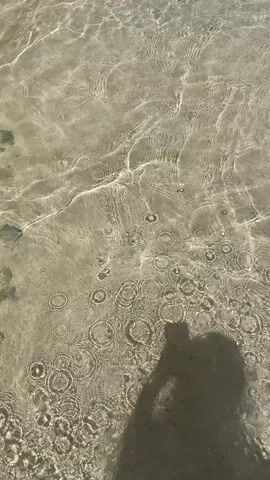 The video shows a close-up, overhead view of shallow, clear water with sunlight reflecting off its surface. The bottom of the water is sandy and visible. The water is gently moving, creating ripples and waves. In the lower left of the frame, a shadow of a person is visible. Further up and to the right, the edge of the water meets a rocky, moss-covered shore. The camera appears to be moving slowly forward, with the person's shadow shifting slightly as the perspective changes.