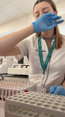 Lab worker handles test tubes during early morning shift