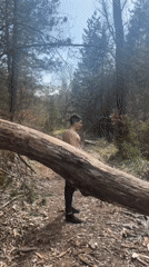 Man observed near fallen tree blocking forest path in Sofia
