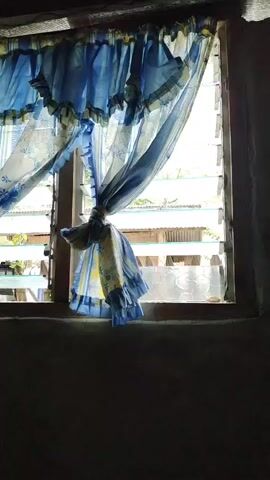 The video shows a close-up view of a window covered by blue and white curtains with a floral pattern. The curtains are partially tied back with a strip of fabric, revealing louvred windows with a view of the outside. Sunlight streams through the window, casting shadows on the curtains and the interior of the room. The outside scene is blurred but appears to show rooftops and vegetation. The overall impression is one of a simple, domestic interior.