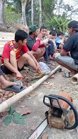 The video shows a group of people, mostly men and a few children, gathered outdoors. They are sitting or squatting around a long piece of bamboo lying on the ground. In the foreground, a chainsaw is visible, resting on the ground next to the bamboo. The environment appears to be a wooded area, with trees and foliage visible in the background. Some of the men are engaged in conversation, while others appear to be observing. The overall impression is of a casual gathering, possibly involving some kind of work or preparation related to the bamboo and chainsaw.