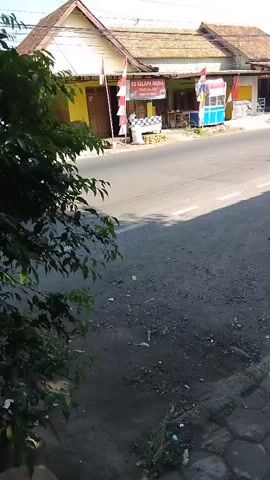 A video shows a street with buildings on the right side. There are trees on the left side of the road. A motorcycle passes by, followed by another motorcycle, and then a third motorcycle. A truck is parked on the right side of the road. The buildings appear to be shops or small businesses. The street is paved and has lane markings. The sky is clear and sunny.