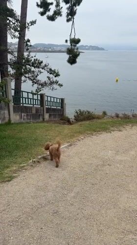 Quiet coastal walk along Sanxenxo's shoreline path